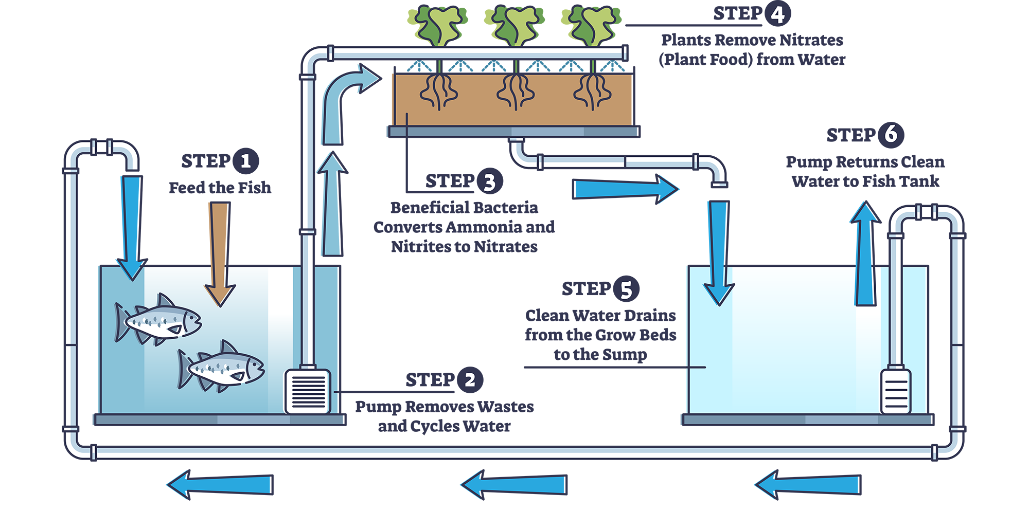 VAOC-Food-Production-System